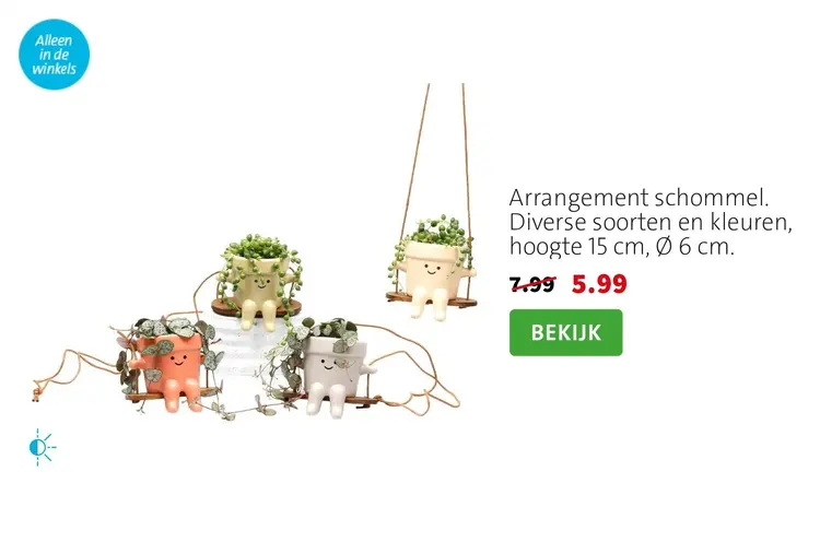 Aanbieding: Arrangement schommel