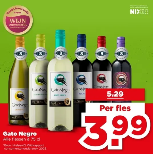 Gato Negro
