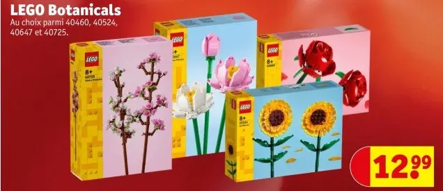 Offre: LEGO Botanicals