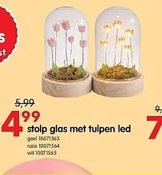 Promotie: stolp glas met tulpen led