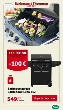 Offre: Barbecue au gaz Barbecook Luca 412