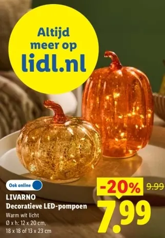 Aanbieding: Decoratieve LED-pompoen