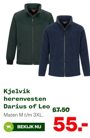 Aanbieding: Kjelvik herenvesten