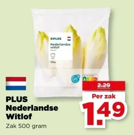Nederlandse Witlof