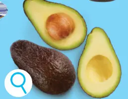 Offre: Avocats