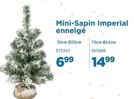 Offre: Mini-Sapin Imperial enneigé