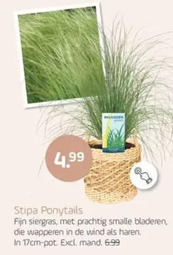 Aanbieding: Stipa Ponytails