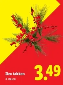 Aanbieding: Ilex takken