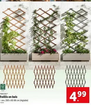 Offre: Treillis en bois