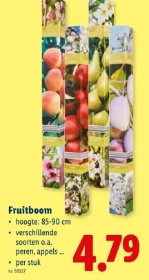 Promotie: Fruitboom