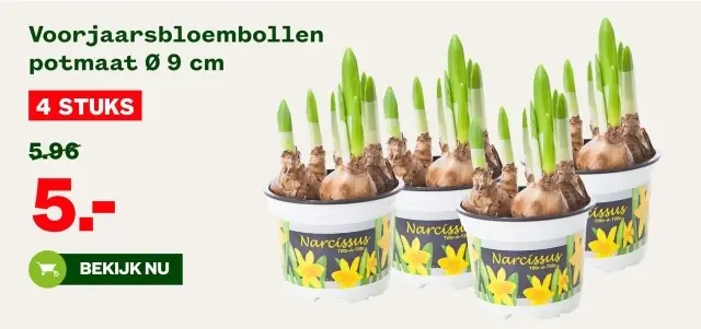 Aanbieding: Voorjaarsbloembollen