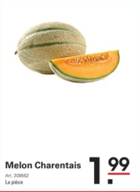 Offre: Melon Charentais