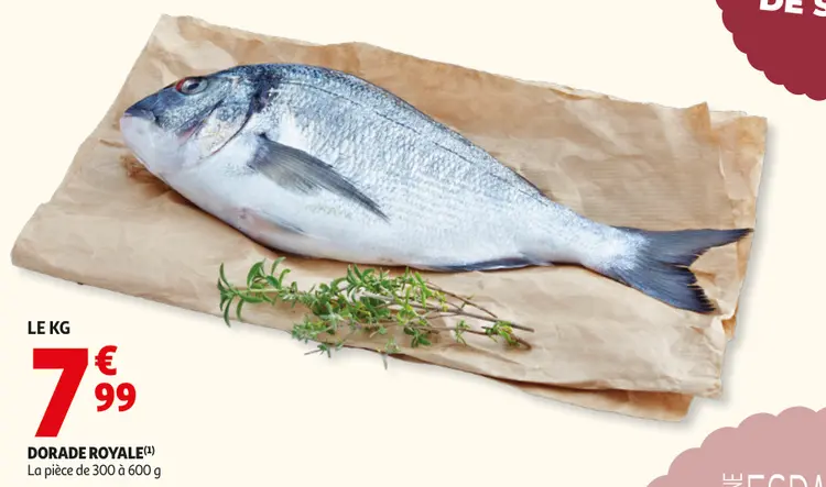 Offre: Dorade royale