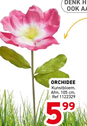 Promotie: Orchidee