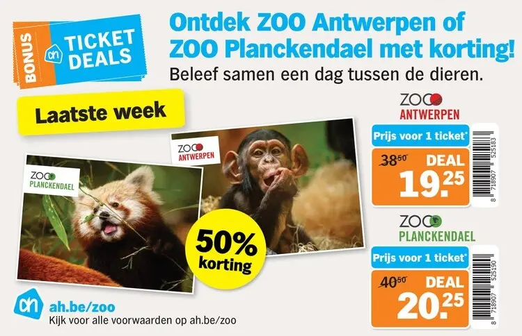 Promotie: Ontdek ZOO Antwerpen of ZOO Planckendael met 