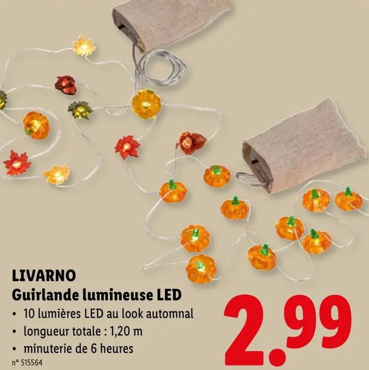 Offre: LIVARNO Guirlande lumineuse LED