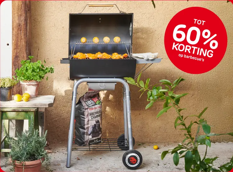 Aanbieding: Barbecue's
