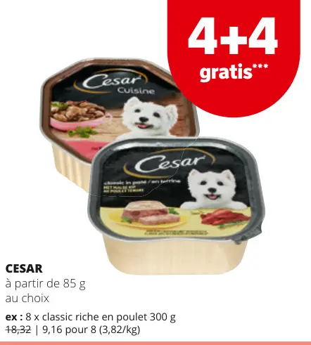 Offre: Cesar