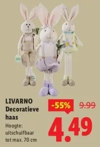 Aanbieding: Decoratieve haas