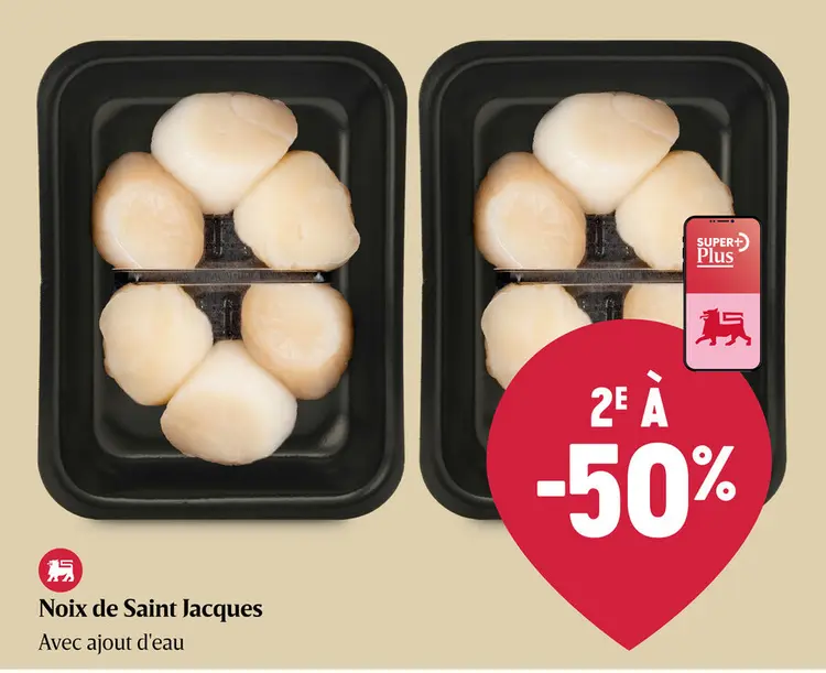 Offre: Noix de Saint-Jacques