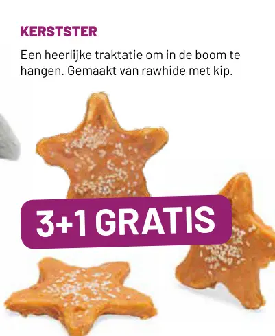 Aanbieding: Kerstster