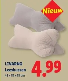 Aanbieding: Leeskussen