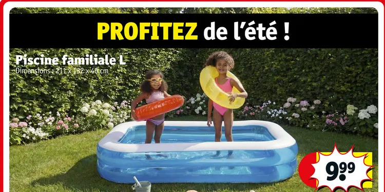 Offre: Piscine familiale L