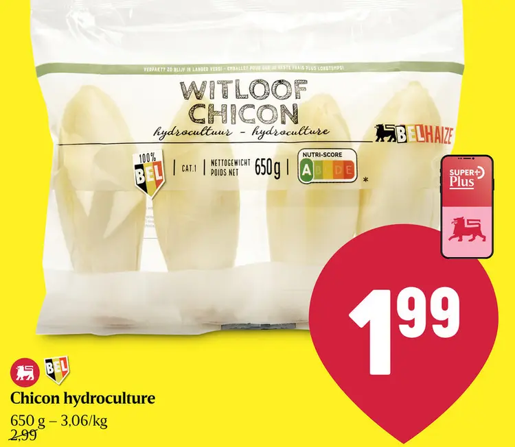 Offre: Witloof chicon