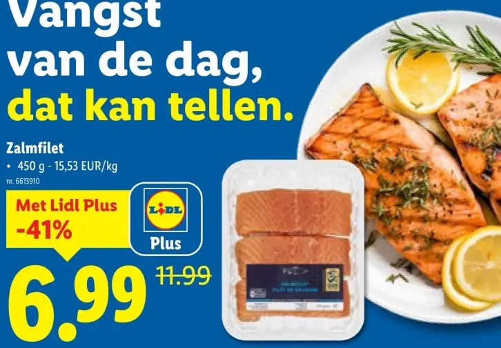 Promotie: Zalmfilet