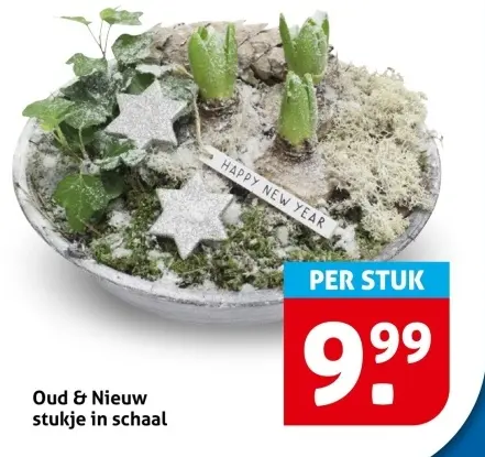 Aanbieding: Oud & Nieuw stukje in schaal