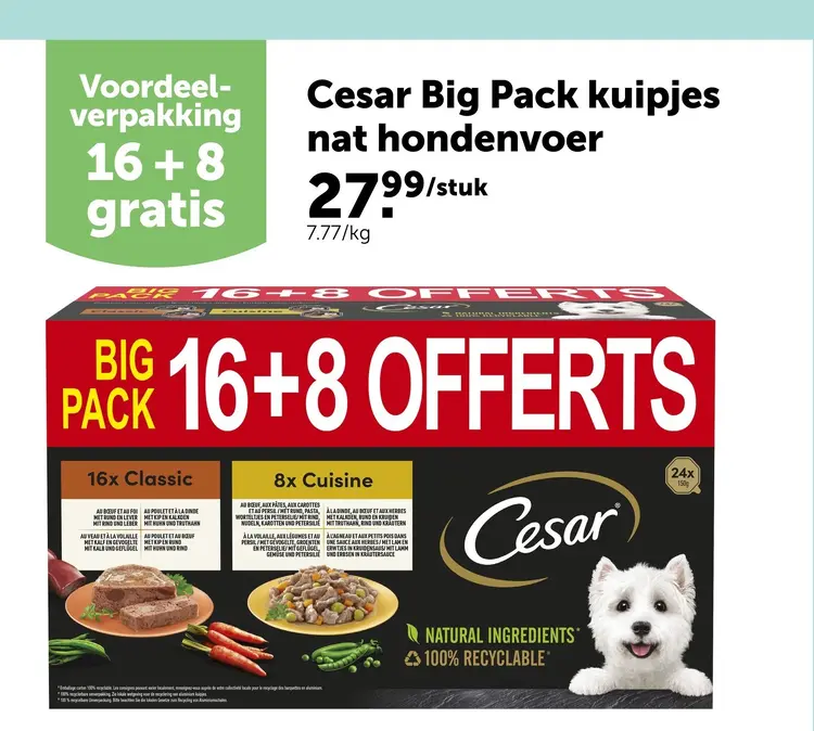 Promotie: Cesar Big Pack kuipjes nat hondenvoer