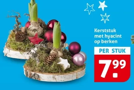 Aanbieding: Kerststuk met hyacint op berken