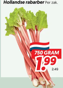 Hollandse rabarber