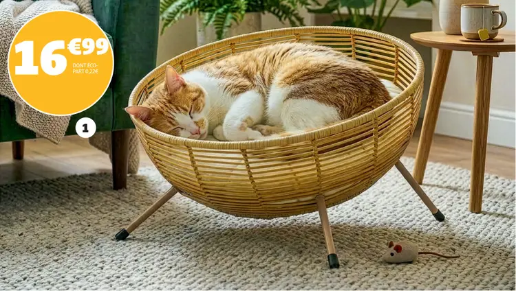 Offre: Cat bed