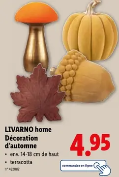 Offre: LIVARNO home Décoration d'automne