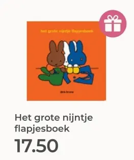 Aanbieding: Het grote nijntje flapjesboek