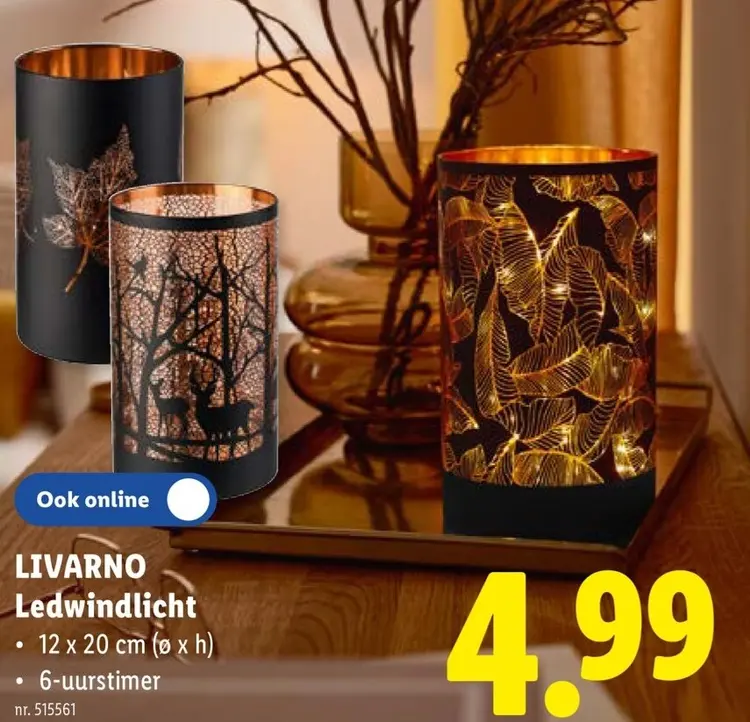 Promotie: LIVARNO ledwindlicht