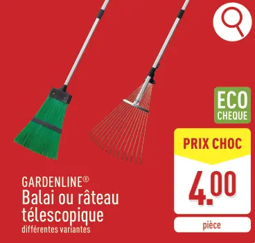 Offre: Balai ou râteau télescopique