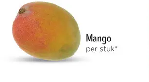 Aanbieding: Mango