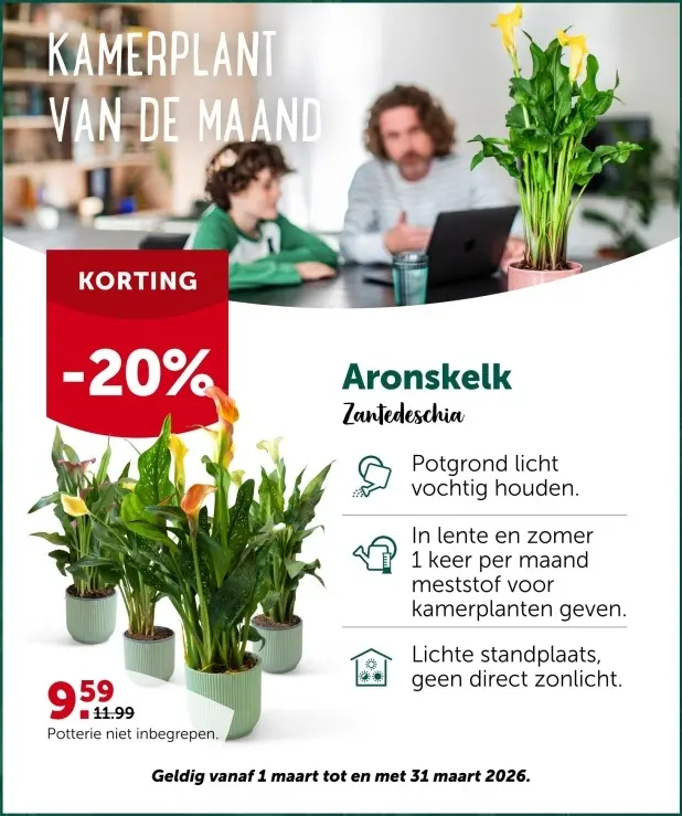 Promotie: Aronskelk