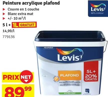 Offre: Peinture acrylique plafond 5 l + 1l gratuit