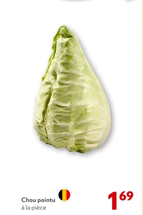 Offre: Chou pointu