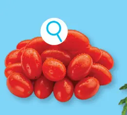 Offre: Tomates cerises