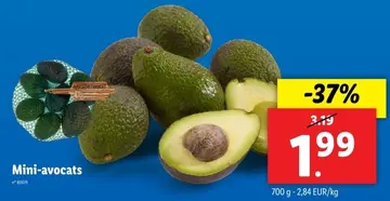 Offre: Mini-avocats