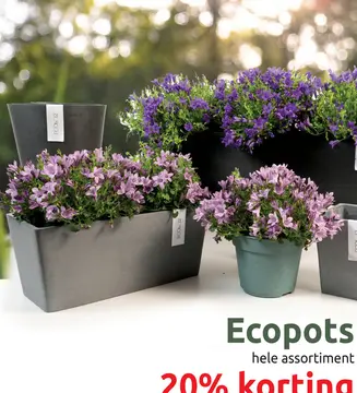 Aanbieding: Ecopots
