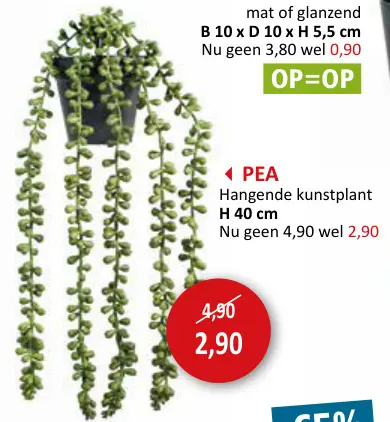 Promotie: Hangplant