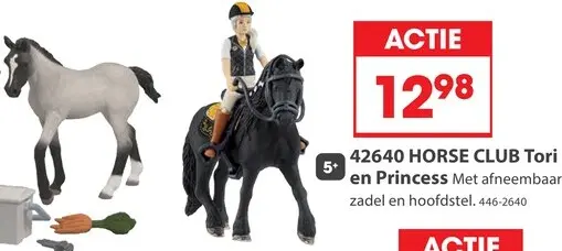 Aanbieding: Horse Club Tori en Princess