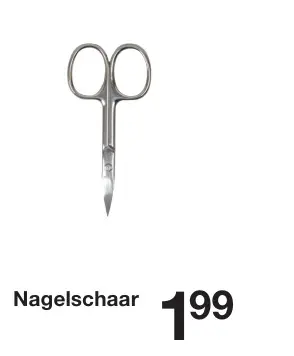 Aanbieding: Nagelschaar