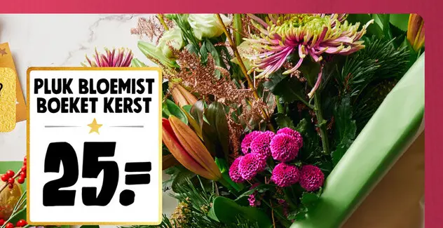 Promotie: Pluk springboeket kerst