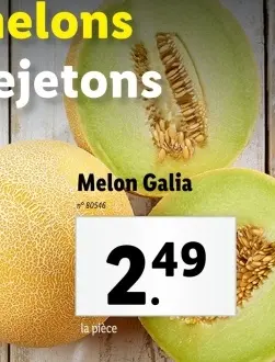 Offre: Melon Galia